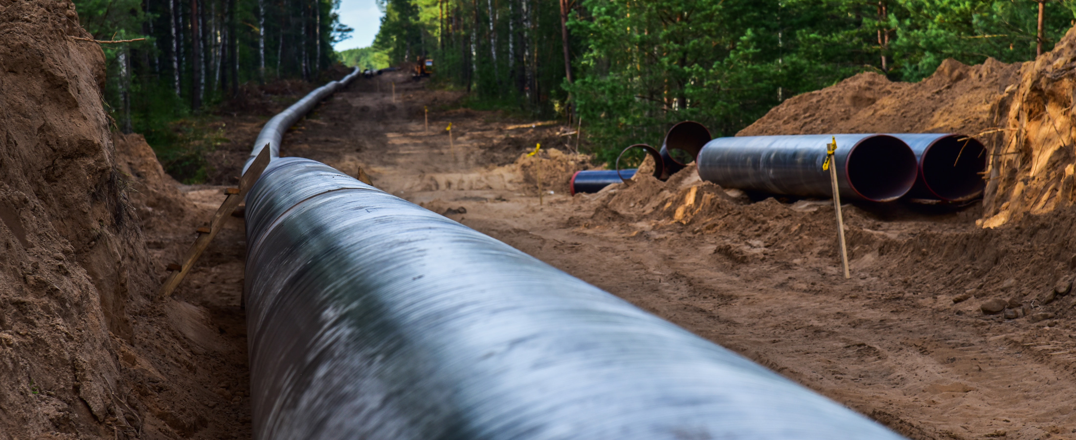Senscorr_pipeline_NEW Senscorr_pipeline_NEW